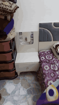 لبيع الشراي يتصل على الرقم وات ساب***********
