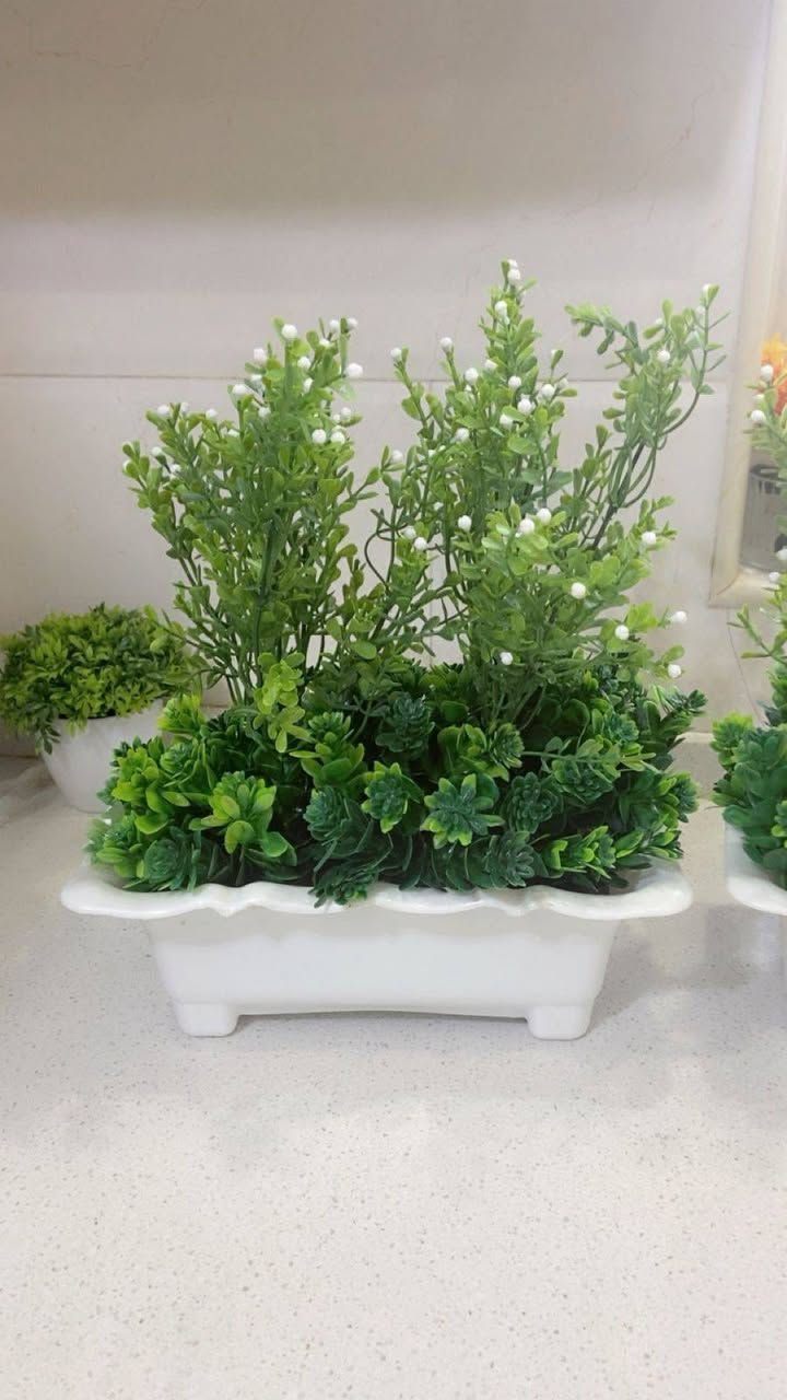 متوفر زرع صناعي اصلي درجه اولى وزن ثقيل
بايركسات حراري أحجام واسعار مختلفه
متوفر توصيل جميع المحافظات 3


**إذا كنت صاحب هذا الإعلان وتريد حذفه لأي سبب، رجاءا أرسل رسالة إلى الدعم الفني**