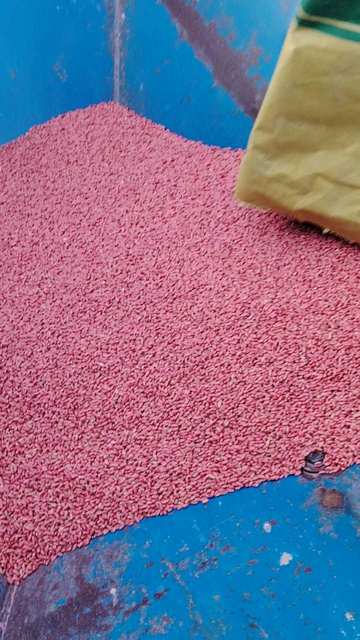 للبيع بذر حنطة نزار بنت المغلف الأصلي حنطة درجة أولى خاليه من الشوائب
***********
مكاني نجف خان النص
