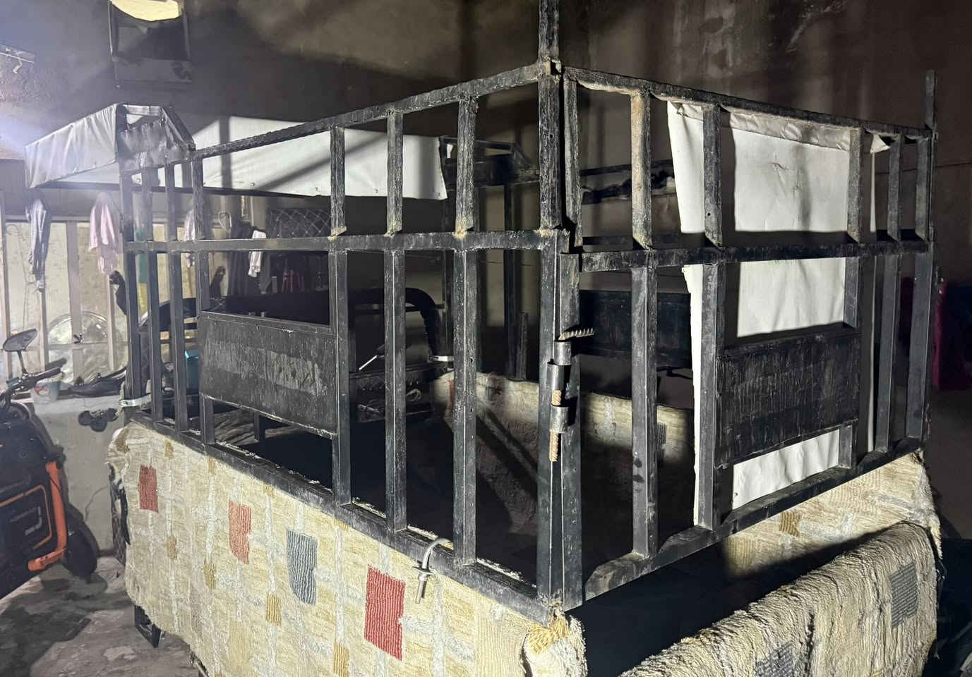 سلام عليكم جنج اسليماني  للبيع سعر ١٢٠وبي مجال ***********
