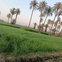 أرض زراعية • ٣٥٠٠م • المعيميره