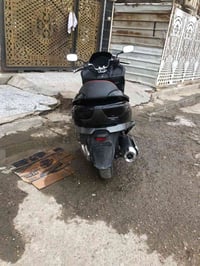 فورزة 08 • نضيفة • بلادية