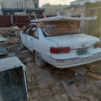 دولفين • شغاله • بغداد