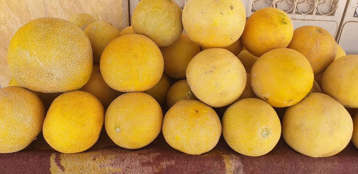 السلام عليكم مسواك جديد والحمد لله 
هاذي الاسعار نقدا نقدا نقدا 
طماطة ٣ بالف 
خيار الحويجة ٧٥٠
بصل بانواعة وبطاطة وشجر ٣بالفين 
فلفل ١٠٠٠
باذنجان أخضر ١٢٥٠
ثوم ٢٠٠٠
كرز ٤٠٠٠
خوخ والو وبرتقال ١٥٠٠
حامض ٣٠٠٠
عنب ١٢٥٠
موز ٣ ب ٥٠٠٠
ركي ٥٠٠
بطيخ ٥٠٠
والله محييكم الجميع العنوان محلات العبد الغني التجارية علوة هرته


**إذا كنت صاحب هذا الإعلان وتريد حذفه لأي سبب، رجاءا أرسل رسالة إلى الدعم الفني**