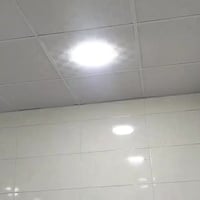 الحبيليه • ٢٠٠م • بيت/مراوس