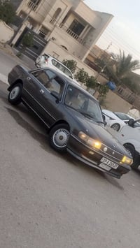 مارك تكم موديل 95 رقم كربلاء الدولي الجديد مداور مباشر مكفوله من الضرب...