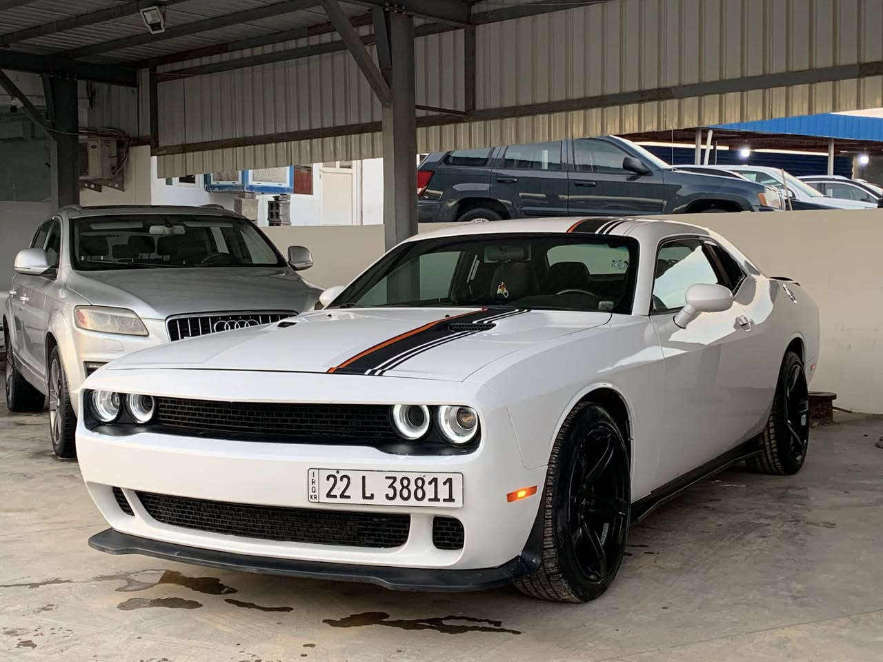 السلام عليك   جالنجەر موديل 2014قودعەوەحده سبوغ كيرموحريك مامه فتوح كولوش بيشرت *********** . مکان سلمانية. سعر 125
