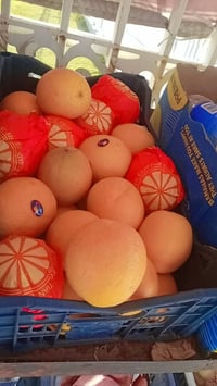 ورحمه الله وبركاته اليوم الاسعار غير عن باقي الايام طماطه عرموطيه وعدل...
