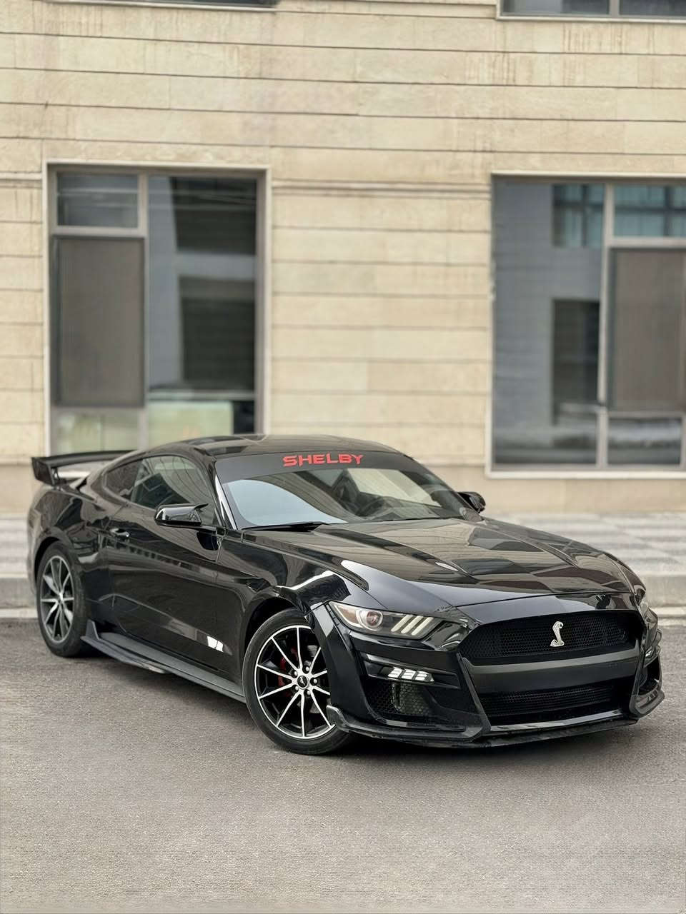 ب سعر البلاش فورد موستنك 2016
رقم بغداد  مميز الدولي باسمي تحويل ثاني يوم
كت شيلبي بل كامل اصلي 
مع دوسات هينسي 
سبايدر شيلبي 350 
لد عدسه اصلي زينون عيون الشيطان
السياره عليها ادامه بل كامل  من جميع النواحي
مكينة 6 سلندر بل جيس  
كير ومكينه بل جيس 
السياره عليها صوت  اكزوست يخبل نغمه طرب
داخلها جديد 
تايرات جدد 
علامه ضوئيه 
سستم صوت يخبل بل سياره 
 حادث السياره جدا سخيف 
بيها قطعتين كلير بامريكا 
وقطعتين صبغ بل عراق يعني 4 قطع صبغ اثر طخات
السيارة كلش حلوة بل حقيقه بل عافيه عل ياخذها   

 السعر 137 وبيها مجال للشراي 

مكاني بغداد الكرخ 

***********
