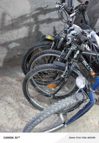 نجف • ٤ دراجات • باسكلات