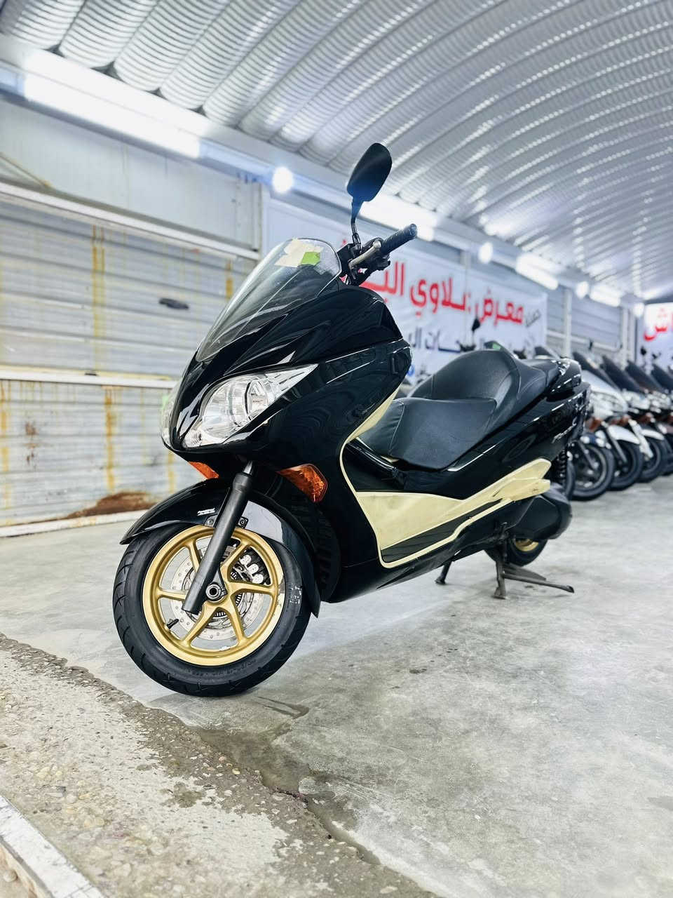 السلام عليكم شباب أخوتي الطيبين 🧿

فورزه 0/10 رمبه وكفاله عامه لونين اي بي اس شرط المزاد🇯🇵

توصيل كافه المحافضات بيع بلنقد وتقسيط ماستر الرافدين✅

بغداد الغزاليه شارع الضغط معرض علاوي الباش
***********
***********
