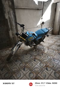 سكنس • نضيفه • ٢٠٢٤