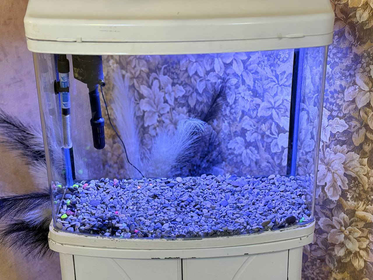 سڵاوتان لێبێت ئەم حەوزە بۆ فرۆشتن بە مێزەکەوە. شتێکی جوان و تایبەتە و پێشی قەوسە. قیاسی ٦٠×٢٥×٥٠ بە مێزەکەوە ١٢٠سم بەرزە. لید و فلتەری شەریکەی خۆی وە هیتەرێکی ١٠٠ واتی لەگەڵە وە نزیکی ٤ کیلۆ بەردی تێدایە
نرخی ٧٠.٠٠٠ مامەڵە. شوێن سلێمانی


**إذا كنت صاحب هذا الإعلان وتريد حذفه لأي سبب، رجاءا أرسل رسالة إلى الدعم الفني**