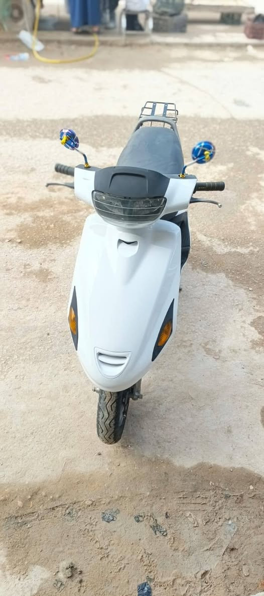 فراشه فحل كلهه بلاديه مكينه ناعمه شلعه فول كهربائيات كلهه شغاله سعرهه   525عنواني نجف رقمي ***********
