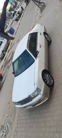 راس الثور • نقل جثه • اوراق سنوية ساقطة