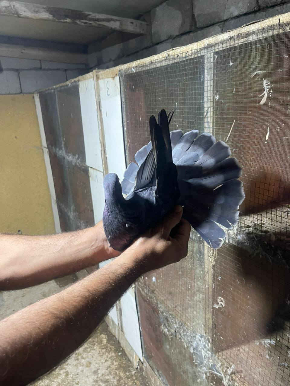 حمام مشروط وخوش حمام تصوير مطياره  موجود  انه بخدمة الشراي الحمام كله خوش حمام وصحه جيده مكاني البصره ابو الخصيب  اكو توصيل جميع المحافظات ***********
