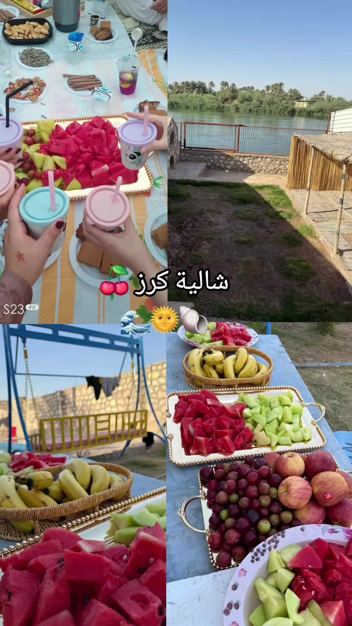 شاليه كرز للحجز ***********
قناة وتساب خاصه بشالية كرز 🍒
https://whatsapp.com/channel/0029Vb8sy281dAvwVYolfc1M
