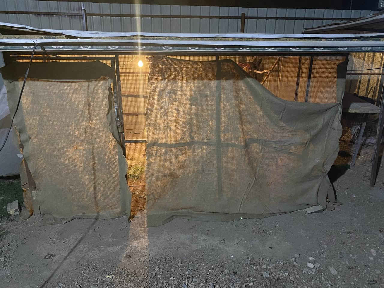 سلام عليكم 
اقفاص حديد للبيع
واحد ارتفاع ٣م وعرض ٣م 
واحد ارتفاع ٣ متر عرض ٤م
واحد ارتفاع متر وعمق ٢ك
***********
حي المشتل (حصن جعفر)
