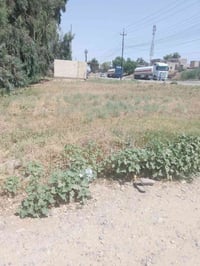ارض تجاريه • واجهة ٣٥م • قرب ام هنادي