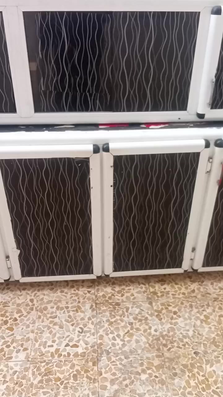 للبيع مع كاونتر سنك


**إذا كنت صاحب هذا الإعلان وتريد حذفه لأي سبب، رجاءا أرسل رسالة إلى الدعم الفني**