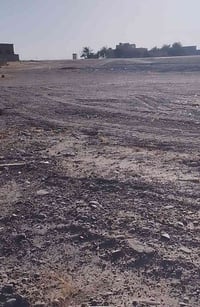 دونم زراعي • شارع الزيتون • بسعر مناسب