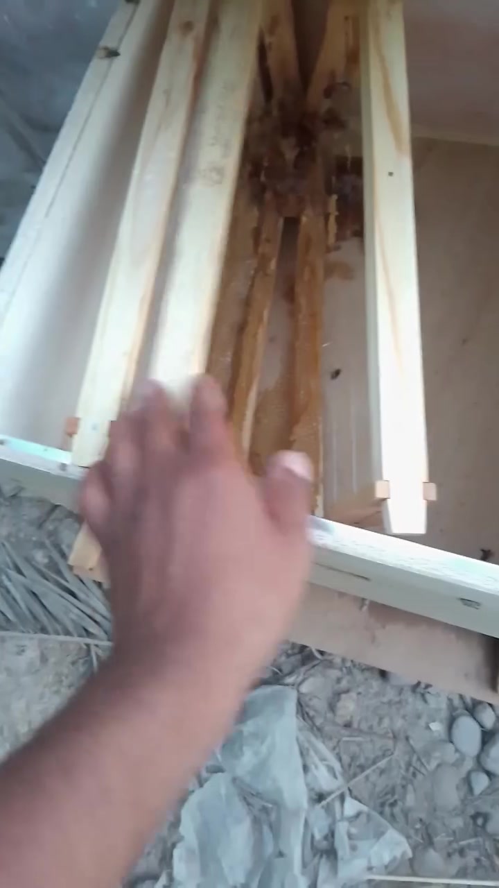صندوك نحل البيع مع 3 طارات سعر 30


**إذا كنت صاحب هذا الإعلان وتريد حذفه لأي سبب، رجاءا أرسل رسالة إلى الدعم الفني**