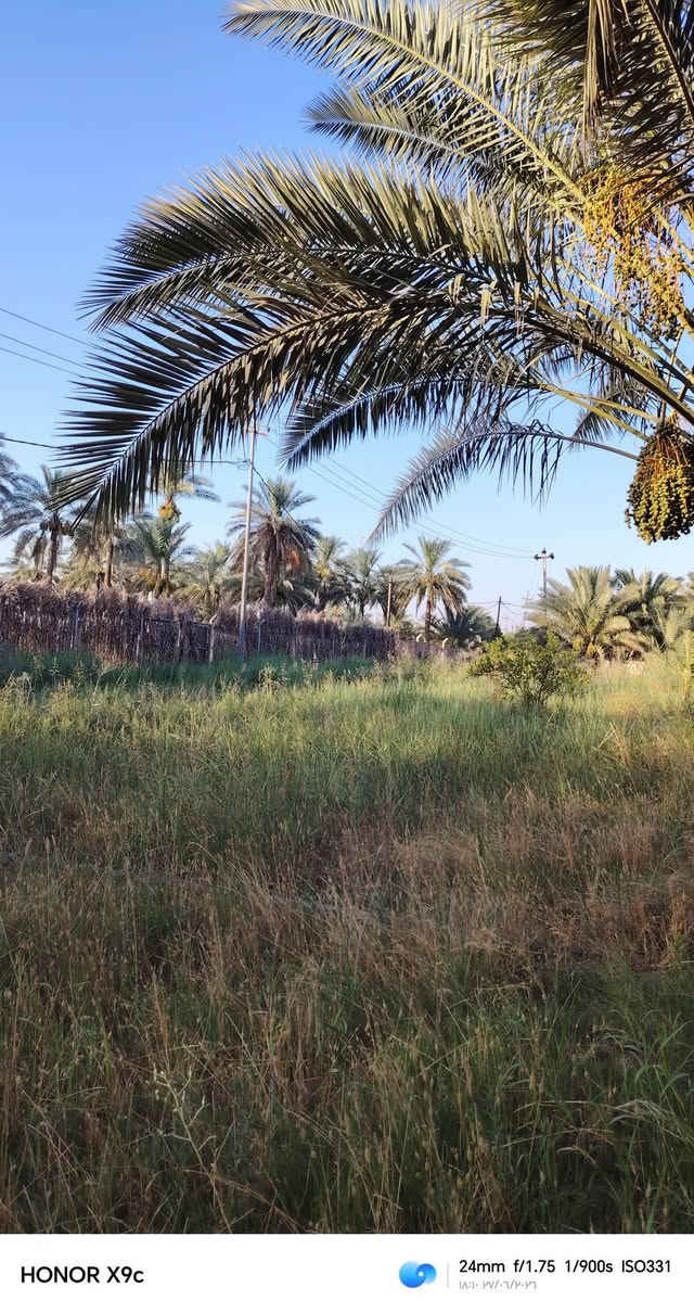 سلام عليكم خمس دوانم البيع في قلب رحمانيه الواجهيه 50 متر الستفسار عله رقم ***********

