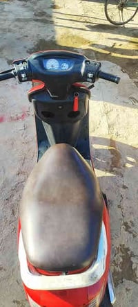 فراشة نثية • النجف مشخاب • بدها لحيم