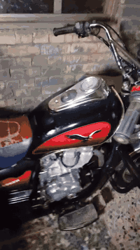 ستوته صقر لبيع 2022 رقمي ***********
