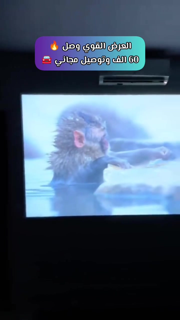 🎬✨ بروجكتور Full HD 1080P بدعم 4K مع ألوان زاهية وآمنة للعين 👀

يدور 180° لعرض المحتوى على أي سطح 🏠
مزود بسماعة Hi-Fi وBluetooth 🔊
منافذ HDMI، USB، AUX وتشغيل سريع ⚡️
تصحيح تلقائي وتركيز يدوي لصورة مثالية ⏱️
يدعم شاشة حتى 130 إنش 🎮🍿
حجمه صغير وسهل الحمل 19×8.5 سم 🎒


**إذا كنت صاحب هذا الإعلان وتريد حذفه لأي سبب، رجاءا أرسل رسالة إلى الدعم الفني**