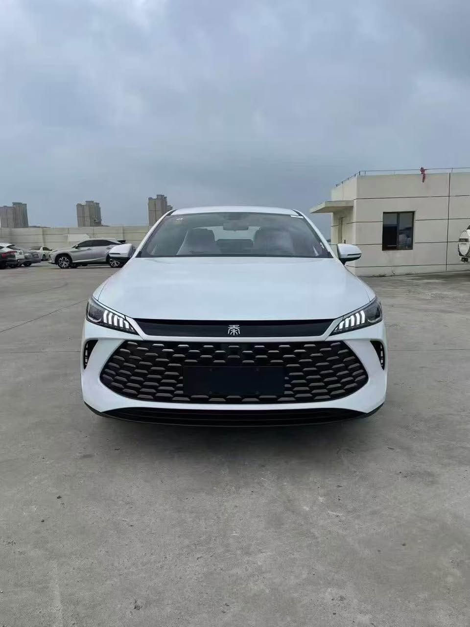 qin plus
تەنها ١١٩ گەلا صافی🔥
کامل ئەشیا  بۆیاخ تەنک
سێ مانگ کاتی
*********** السليمانية, العراق
