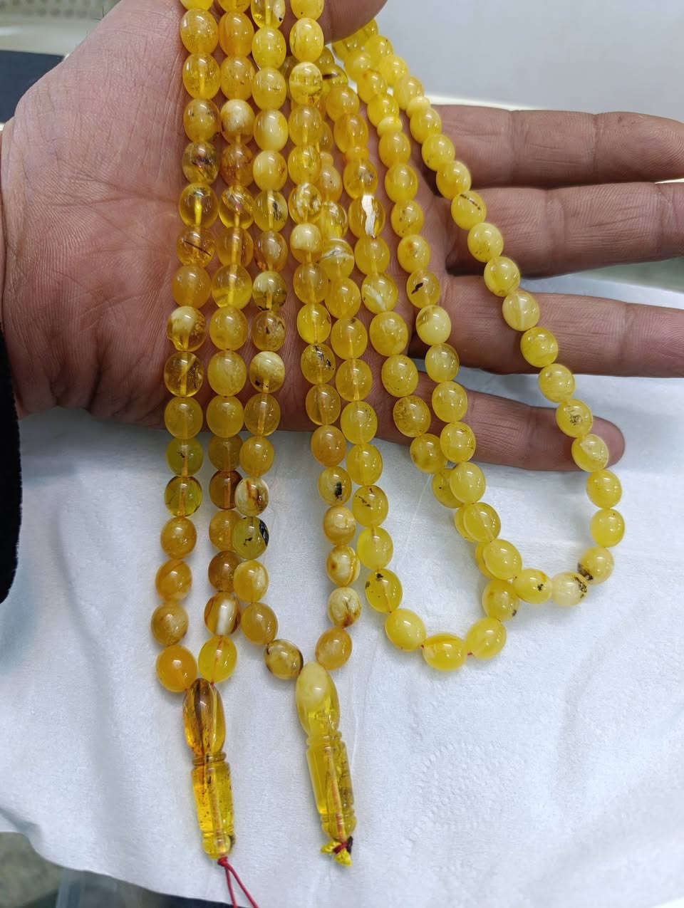 كهرب كلنكرادي شواهد استندر نمش بسيط الغرام على 2500 عراقي وزنهن 68 غرام يوجد توصيل *********** خالد ابو علي الساعدي
