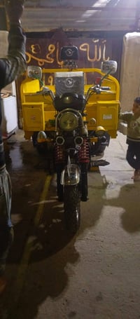 ستوته جمره • فحل 23 • البصره الكزيزه