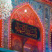 حملة بركات ابو يعلى • كربلاء والسيدة شريفة • ١٠ نفر