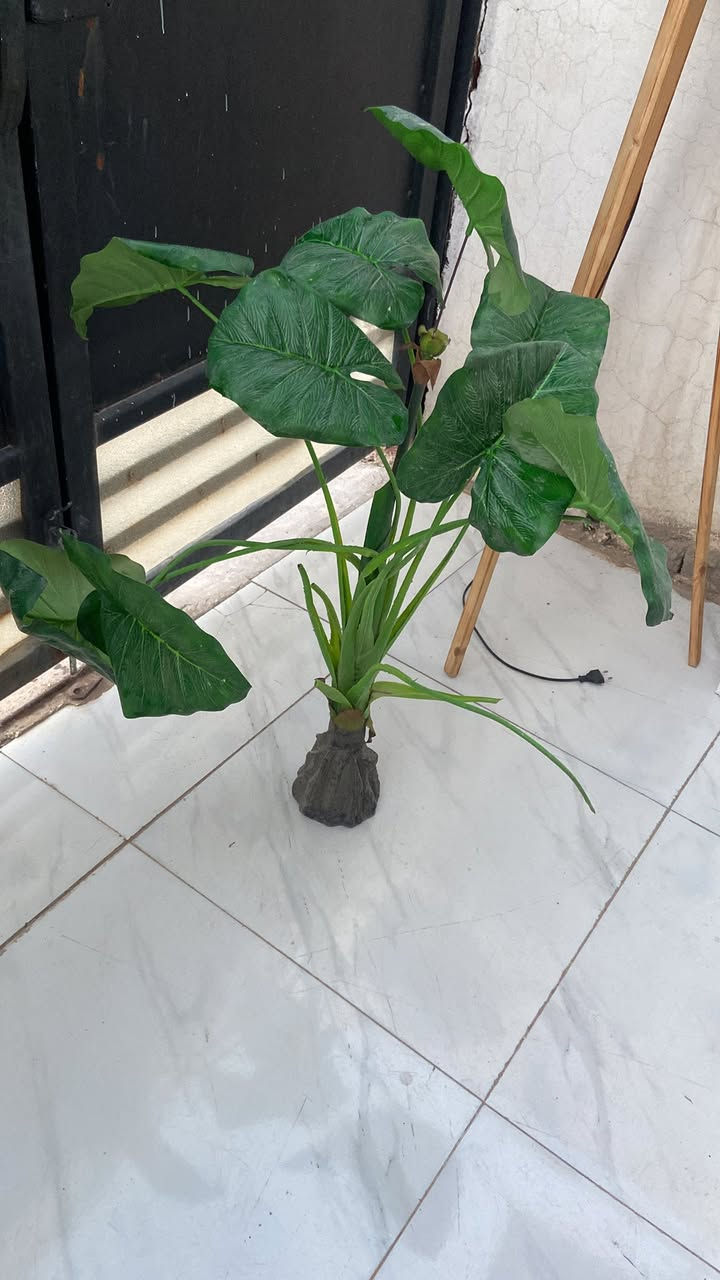 السلام عليكم غراض للبيع مغسله اخو جديد مابيه عيب سعره ٣٥
شجره مابيه عيب ب٧
وتيبلام عيبه بس كفر ماله معوج  سعره ٦ ل
وباب بلاستك  ويه جرجوبه سعره ٣٥الف 
للاستفسار عنوان الزوراء قرب شركه طارق ***********
