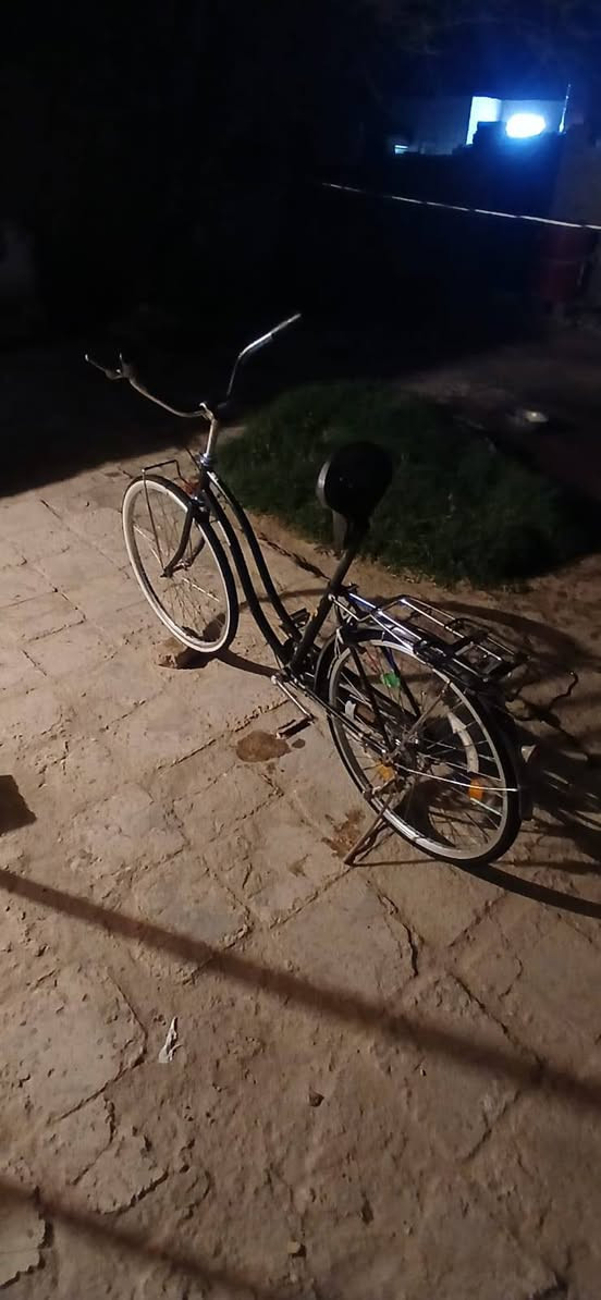 باسكلل باباني 🇯🇵 حاويه

صارله 5 اشهر من طالع حاويه 🤍

مكاني ناصريه قرب مدرسه الامامين شارع المرتضى✨🌷

سعر 80 قفل


**إذا كنت صاحب هذا الإعلان وتريد حذفه لأي سبب، رجاءا أرسل رسالة إلى الدعم الفني**
