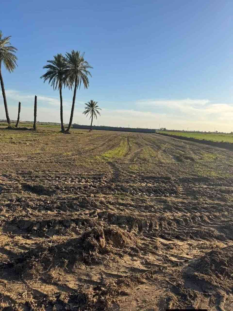 سلام عليكم موقع الكاع مصالحا ولطجاج يتوفر فيها ماء اساله و كهرباء رقم الهاتف ‏‪***********,‬‏
