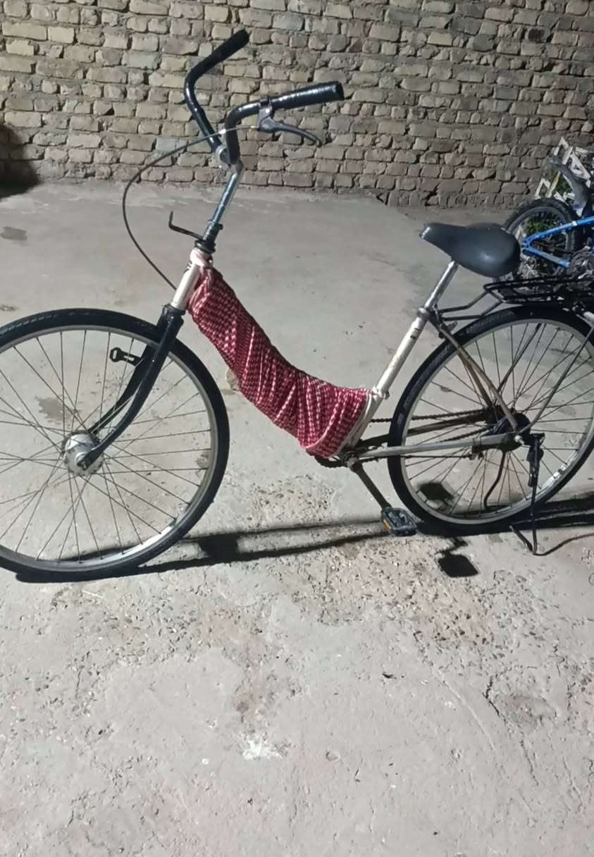 سلام عليكم باسكل جبلي ازرگ النضافه گدامك سعره 20 وحجمه 20 .... باسكل بيجي حجم 26.. النضافه گدامك سعره 45 مكاني بابل كفل ***********
