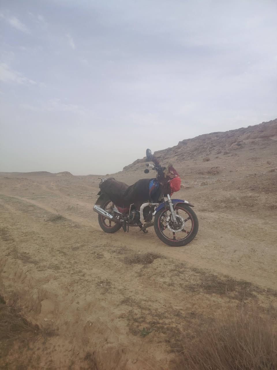 سايم 17 للبيع السعر 700 ما بيها مجال ***********
