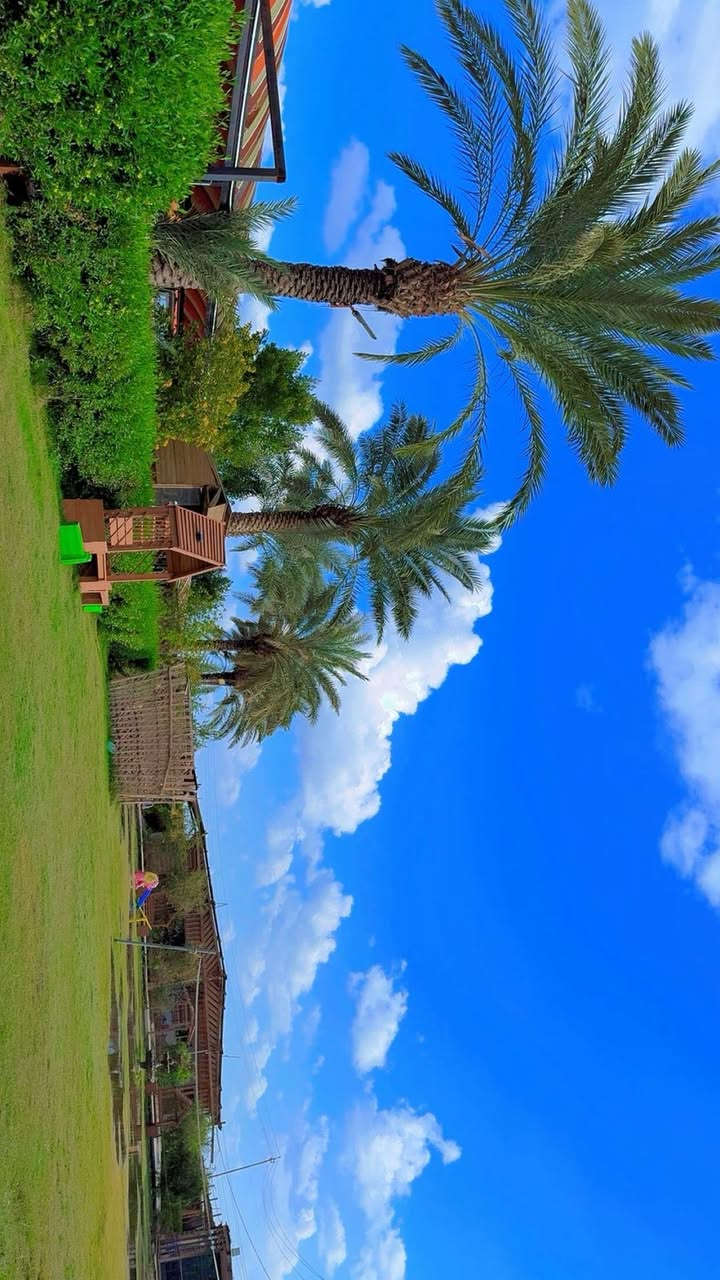 مئات المزارع والشاليهات للأيجار اليومي 
في بغداد وكل مناطق العراق كله من خلال تطبيق أجرلي 
اجرلي- Ajirly لتأجير المزارع السياحية
للحجز والاستفسار ***********
 متوفر واتساب
