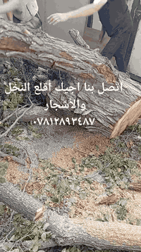اتصل بنا اجيك أقلع النخل والأشجار ***********
