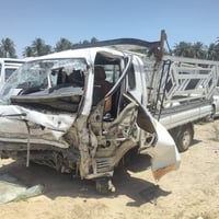 كيا حمل • على وضعها • بغداد