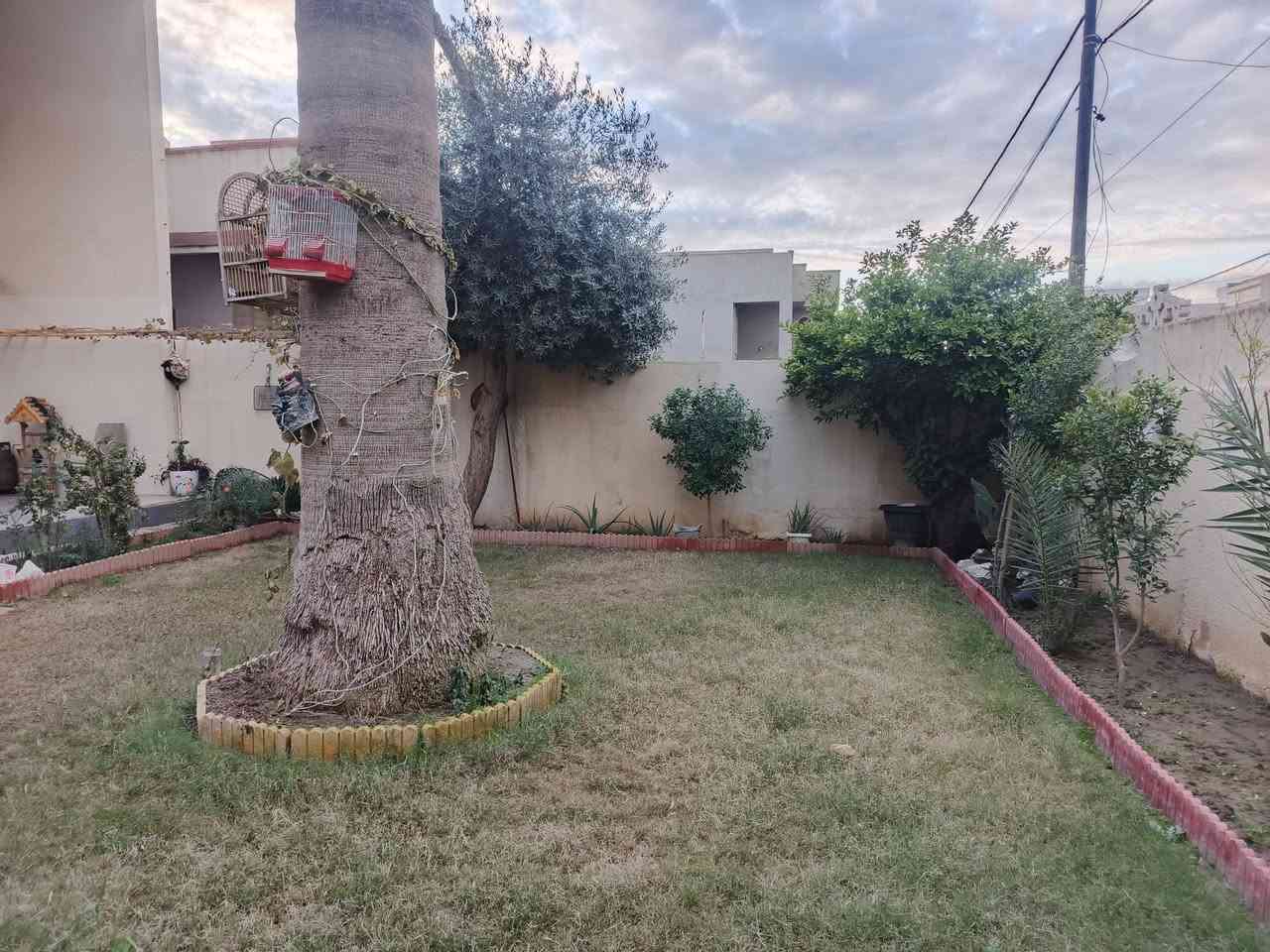 بيت في الايمن حي شفاء مقابيل الاعدادية المركزيه مساحه البيت 416 سعر المتر 850 للاستفسار تواصل مع صاحب الدار‏‪***********‬‏
