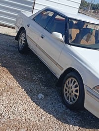 مارك عظم • مكفولة • القادسيه النجف