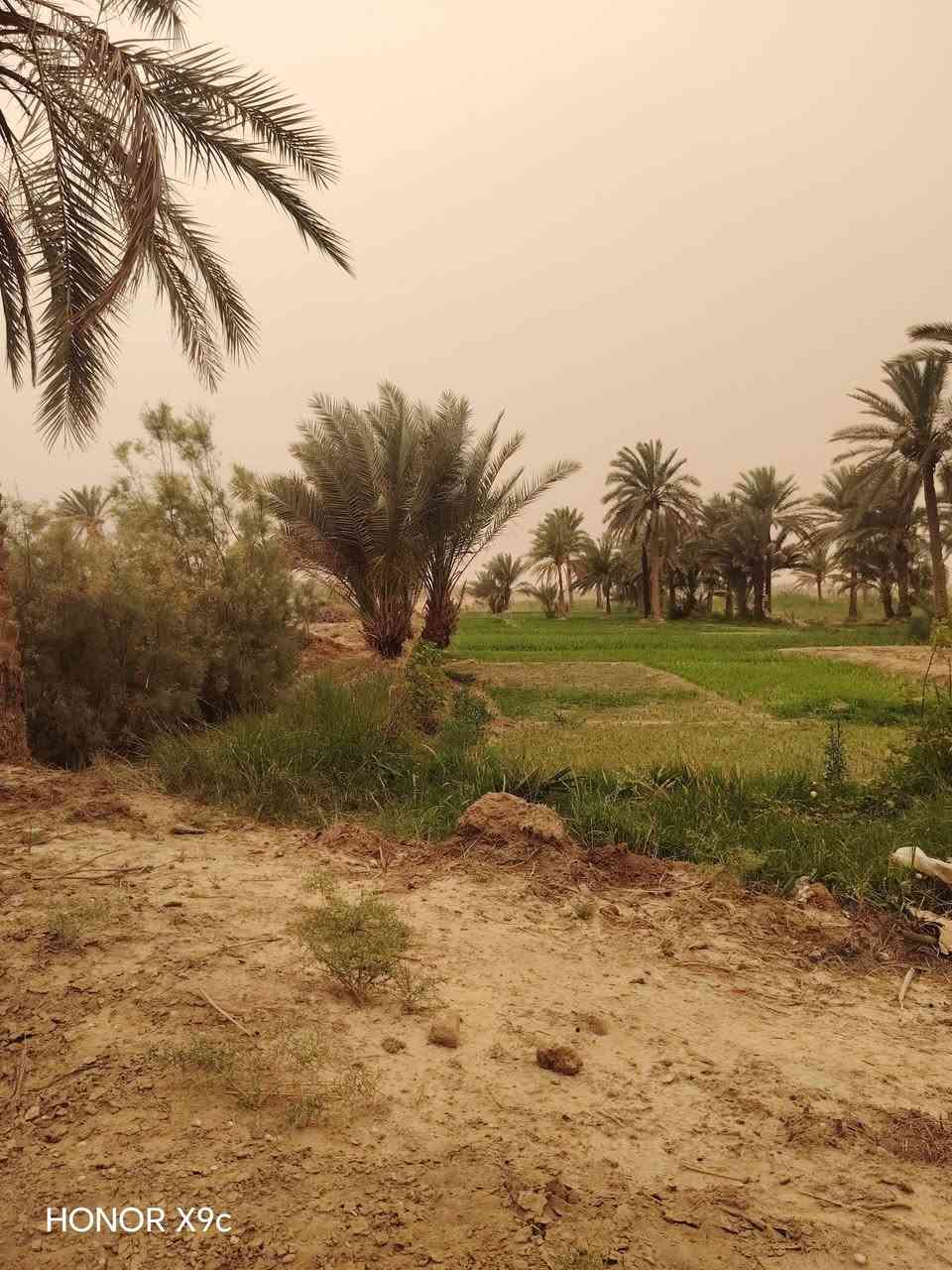 السلام عليكم
ارض زراعيه منطقة البركات على نهر الغازي تبعد عن الشارع العام 2 كيلو متر دونم ونص طابو زراعي سند ٢٥ والباقي ١٠ دونم عقد زراعي ماء اساله +كهرباء للاستفسار الاتصال على الأرقام  - *********** - *********** واتساب
