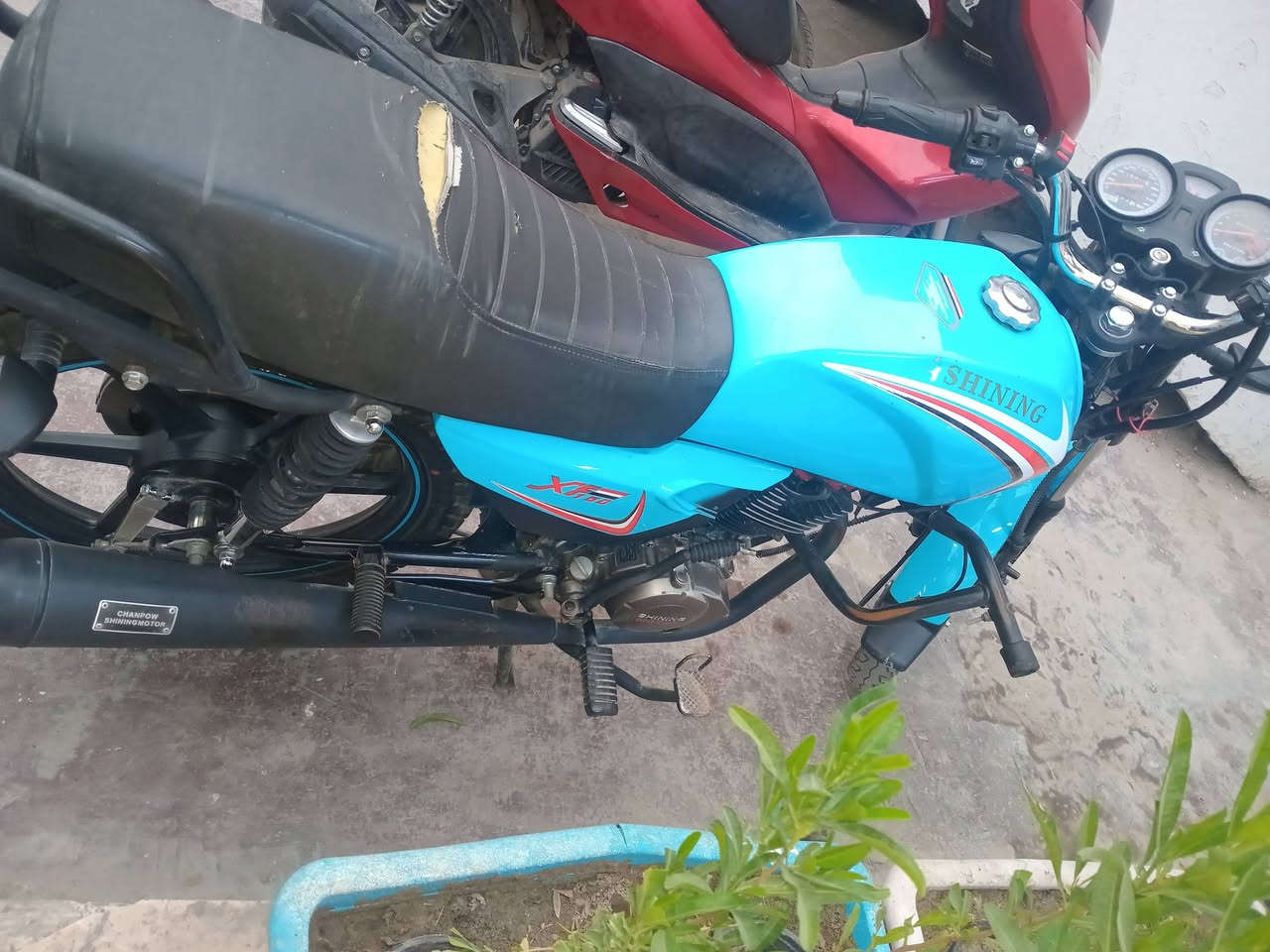 سلام عليكم  دراجه شاينك موديل ((24))  البيع رايدها (( 900)) او بيها مجال دراجه نضيفه كلشي شغال بيها اروح بيها الدوام او ارجع البيت بس اوراق اصولي رقم *********** 👈 وتساب بي
