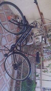 بيسكل للبيع حجم 27 بدال سبعةنمرات أصلية بيسكل نضيف كلش غراضة كاملة الس...