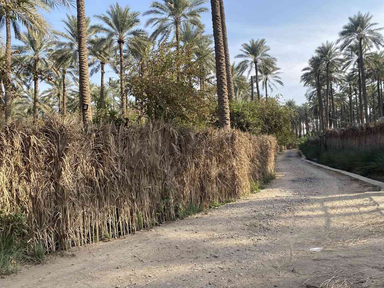 بستان مساحه دونمين واجه54ونص نزال90 سند مملوك للدوله
مكان ديالى ركه حاج سهيل سعر 150 وبيها مجال 
***********
