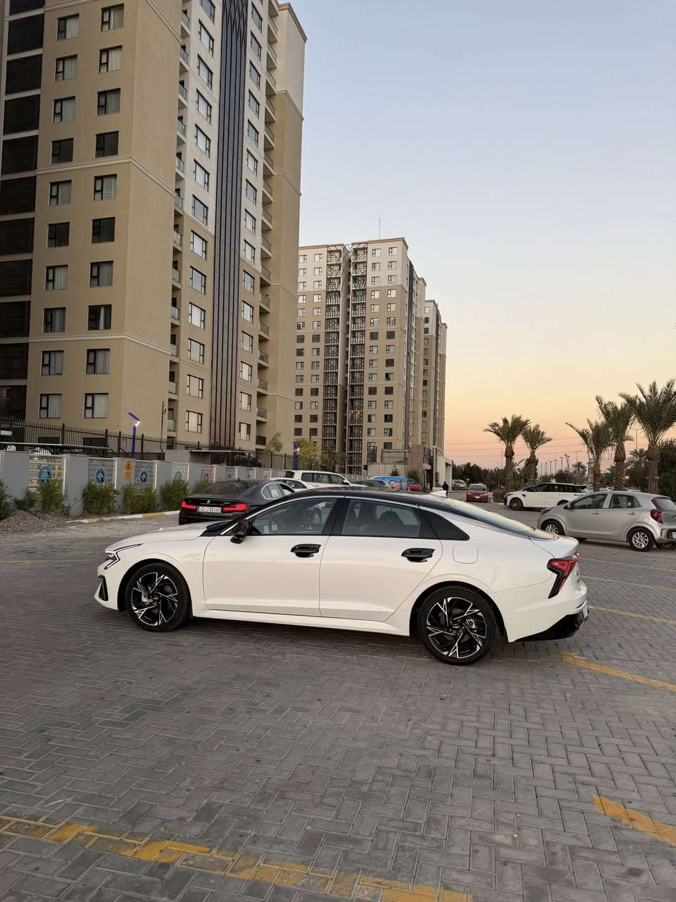 كيا k5 امريكي
موديل 2025 
رقم شهداء قادسيه وكاله عامه 
محرك 2500 🚀
فول جيتي لاين قماره حديد
تبديل جاملغ وبنيد ورش صبغ
شاصي لغد كفاله شرط الفحص
ماشيه 16
سياره جديده كلش وبدون اي نقص

سعر 153$ بيع فقط بدون مراوس
مكان سياره سماوه
استفسار اكثر

***********
