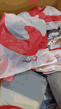 السعر جدا مناسب التواصل على رقم الهاتف 07838473085